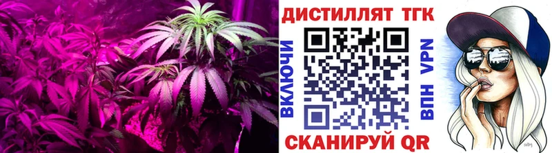 Купить закладки  Кизилюрт  ТГК Wax 