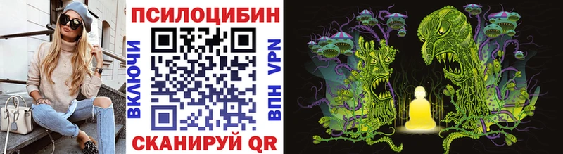 Купить закладки  Кизилюрт  Псилоцибиновые грибы MAGIC MUSHROOMS 